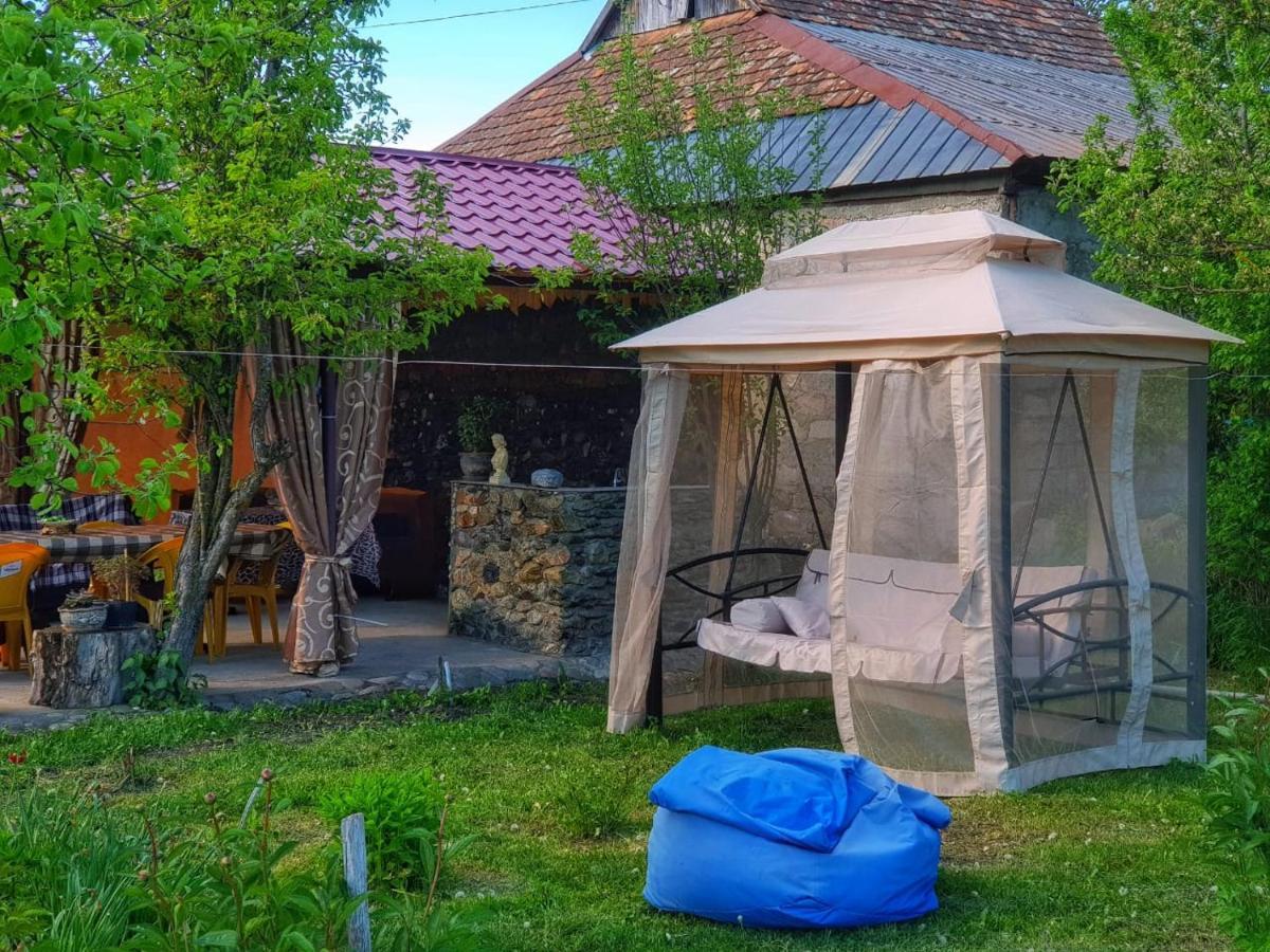 Family Hotel Maia - Cемейная Гостиница Майя Dashbashi 外观 照片