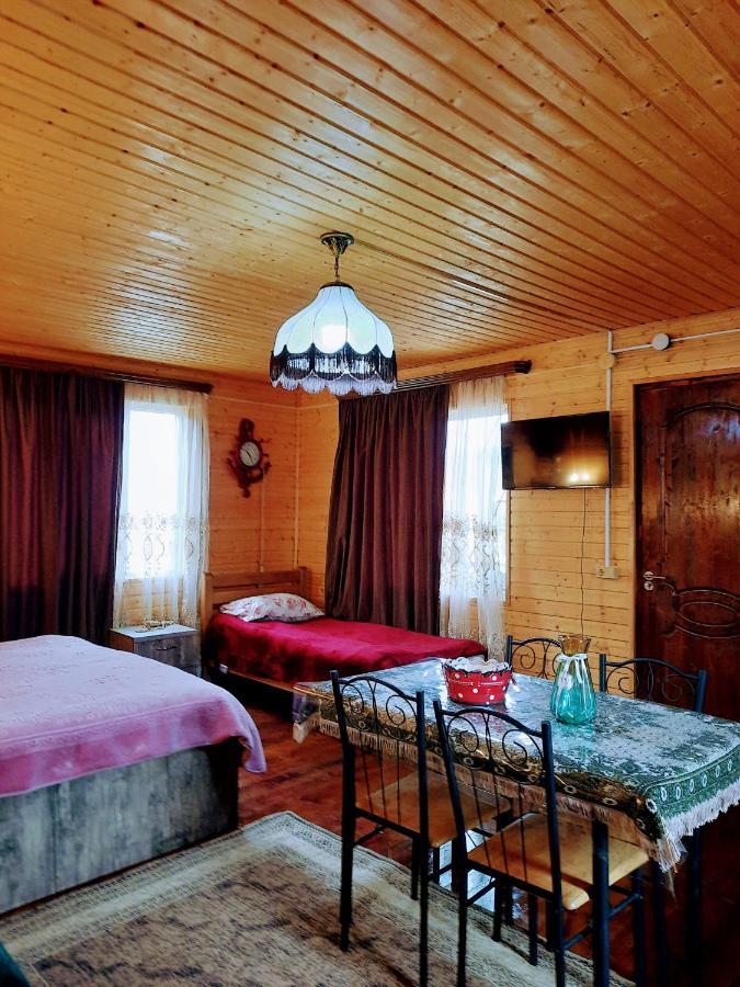 Family Hotel Maia - Cемейная Гостиница Майя Dashbashi 外观 照片