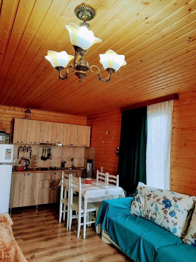 Family Hotel Maia - Cемейная Гостиница Майя Dashbashi 外观 照片