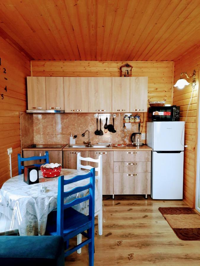 Family Hotel Maia - Cемейная Гостиница Майя Dashbashi 外观 照片