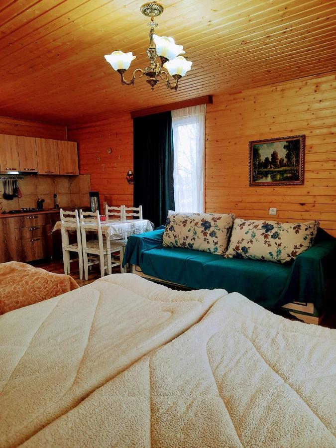 Family Hotel Maia - Cемейная Гостиница Майя Dashbashi 外观 照片