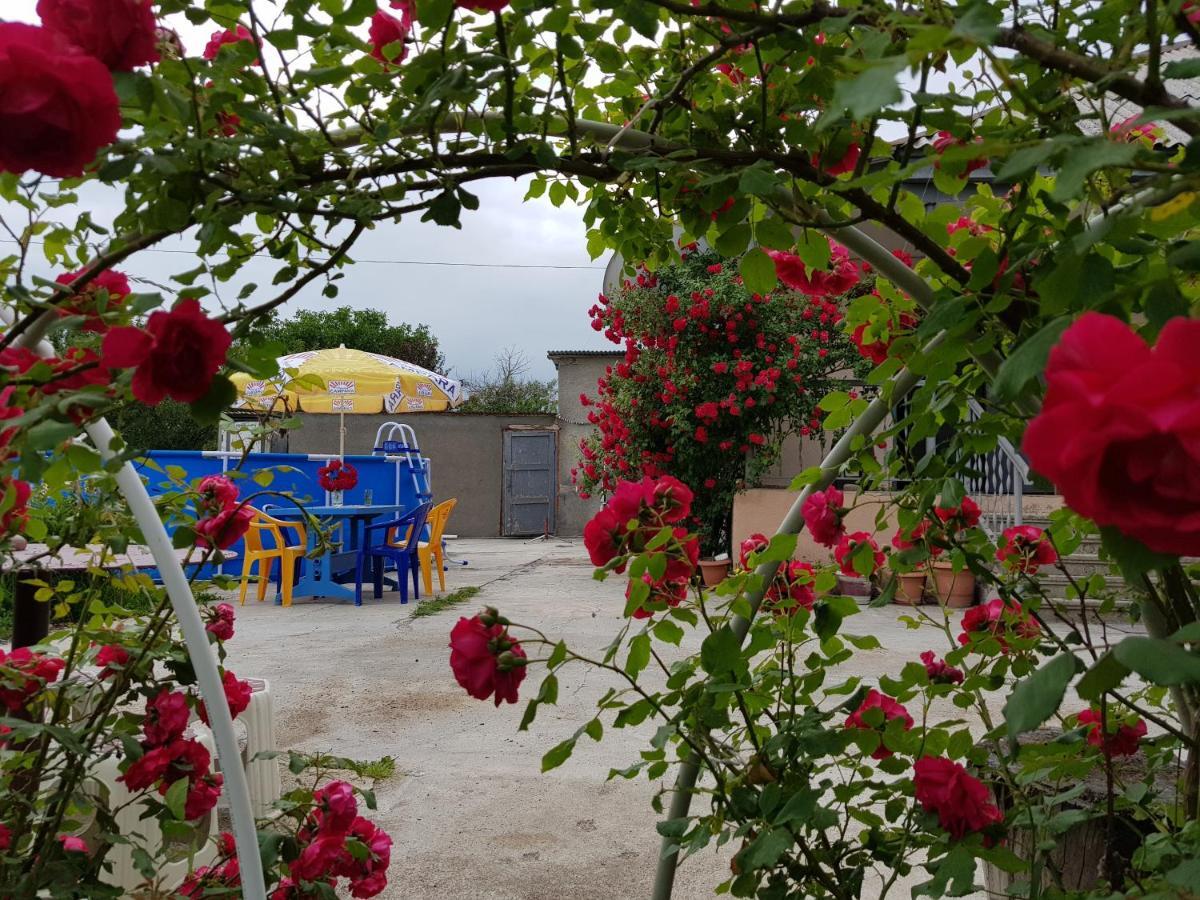 Family Hotel Maia - Cемейная Гостиница Майя Dashbashi 外观 照片